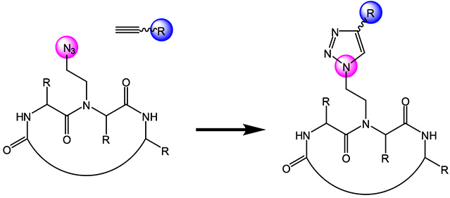 Peptoids - Peptide Backbone Derivatisation