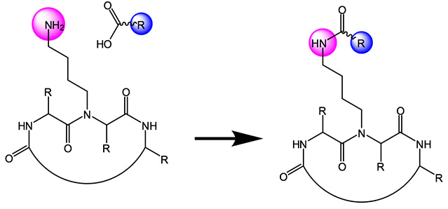 Peptoids - Peptide Backbone Derivatisation