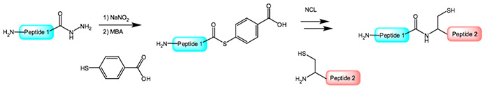 NEW Hydrazone Resin - Grafik 3