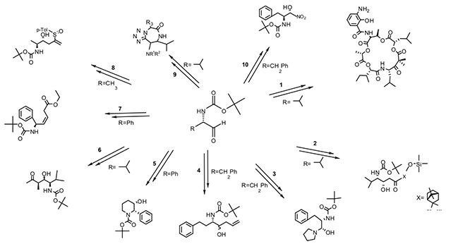 Product of the Month: Amino Aldehydes