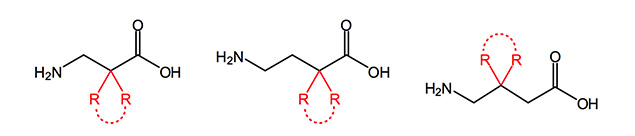 Custom Synthesis of substituted beta & gamma Amino Acids including Statine Analogues