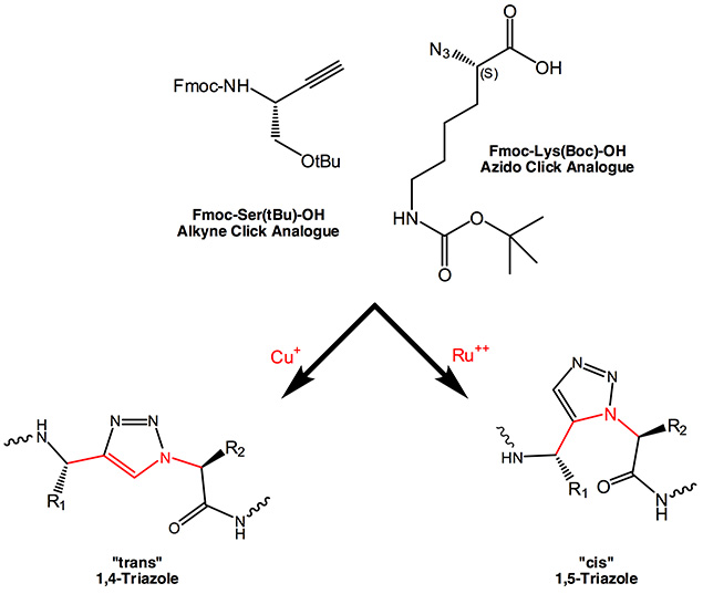 Custom Synthesis of Alkyne Amino Acids Analogues for Click Conjugation