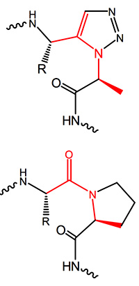 Custom Synthesis of Alkyne Amino Acids Analogues for Click Conjugation