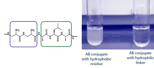 Polar Amino acids for increased solubilisation