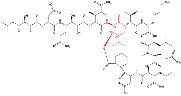 New Statin Analogues: Super-Threonine Derivatives 